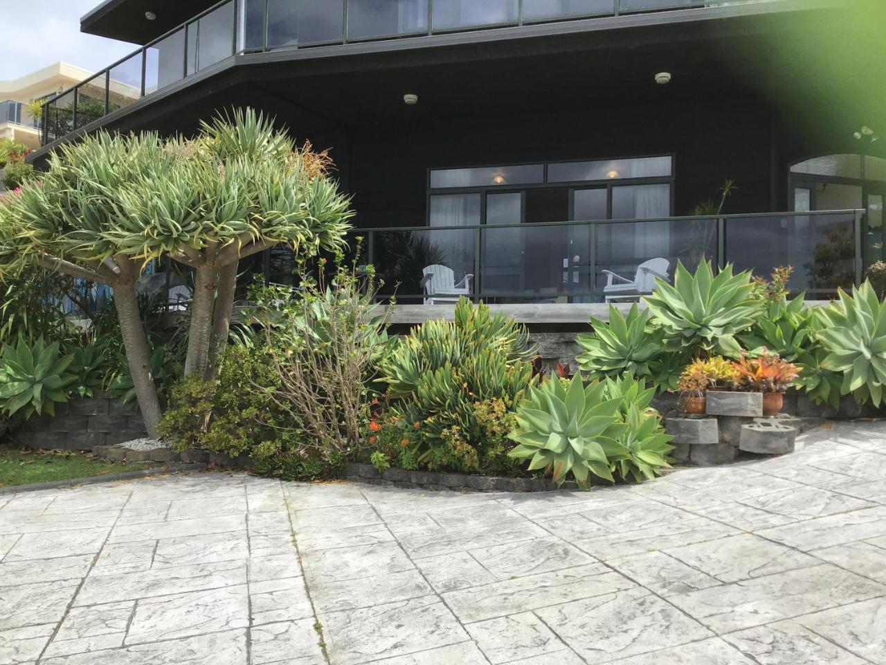 Apartament Heads Up Mangawhai Zewnętrze zdjęcie